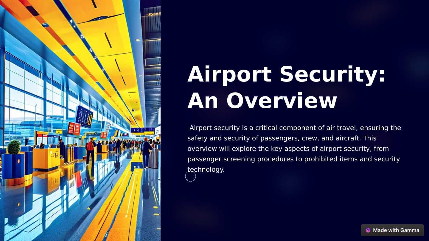 Airport security ✈️🛫