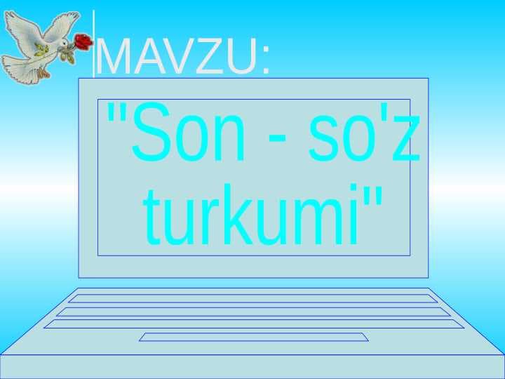 Son - so'z  turkumi