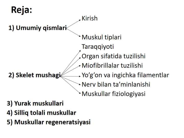 Muskul to`qimasi gistologiyasi va fiziologiyasi