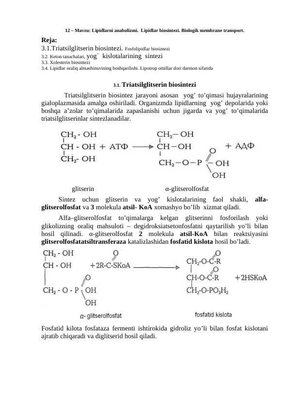 lipidlarni anabolizmi. Lipidlar biosentizi.Biologik membrana trasnporti