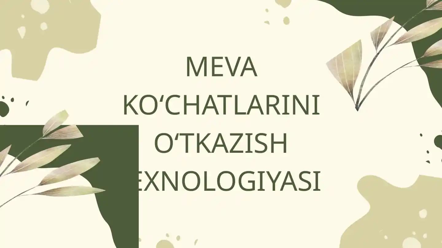 Meva ko‘chatlarini o‘tkazish texnologiyasi