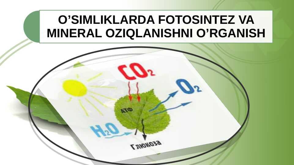 O’SIMLIKLARDA FOTOSINTEZ VA MINERAL OZIQLANISHNI O’RGANISH