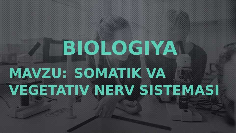 SOMATIK VA VEGETATIV NERV SISTEMASI