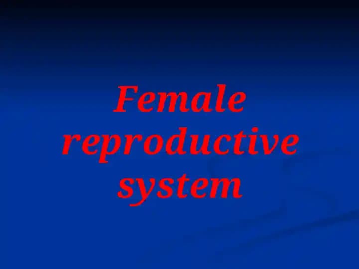 Female reproductive system
