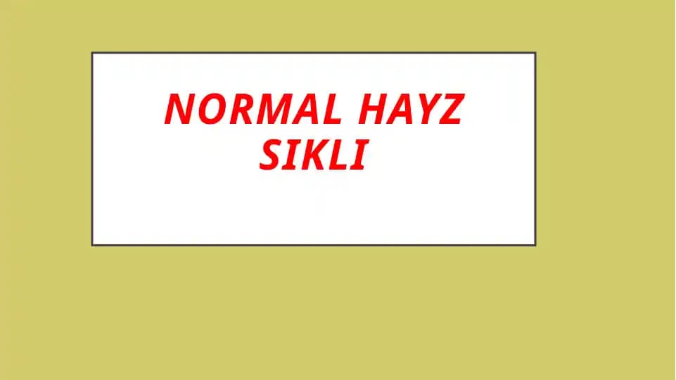 Normal hayz sikli