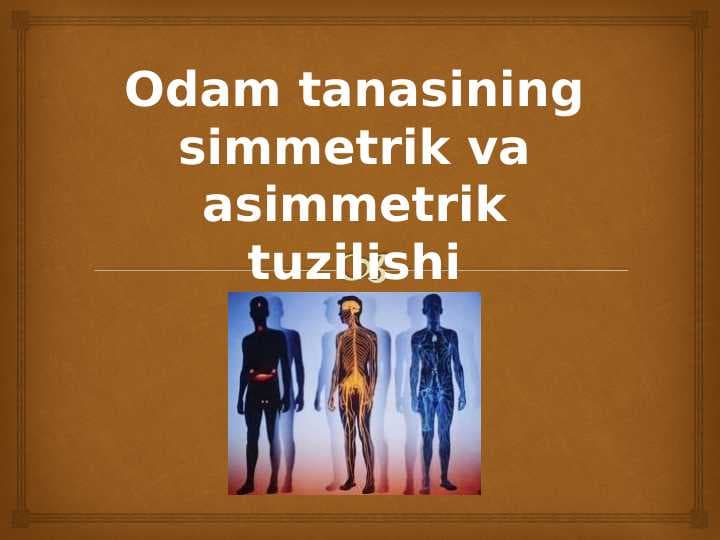 Odam tanasining simmetrik va asimmetrik tuzilishi