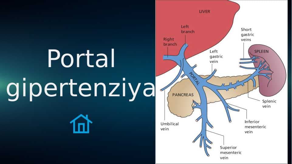 Portal gipertenziya