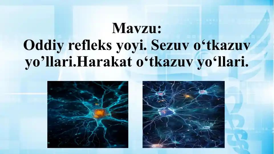 Oddiy refleks yoyi. Sezuv o‘tkazuv yo’llari.Harakat o‘tkazuv yo‘llari.