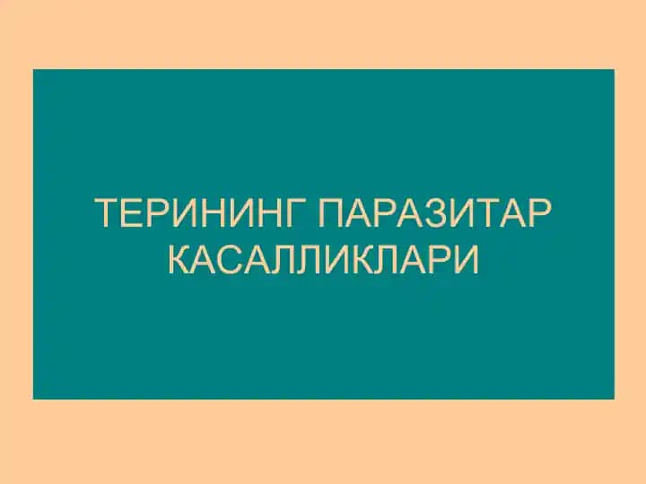 Терининг паразитар касалликлари