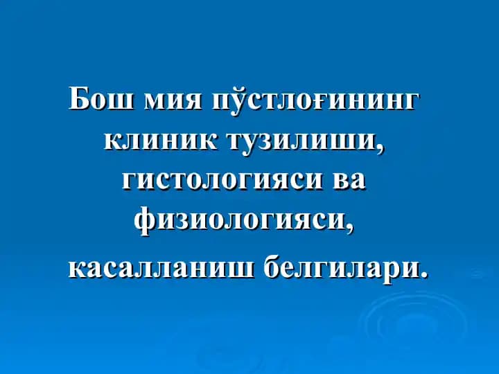Бош мия пўстлоғи