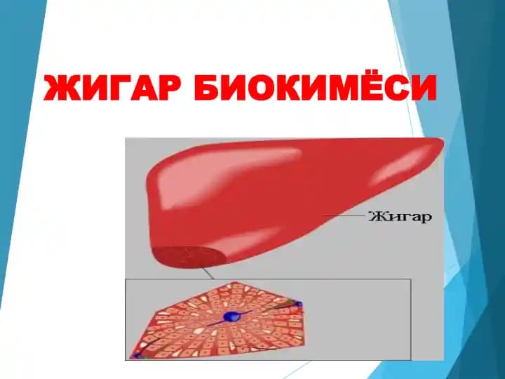 ЖИГАР БИОКИМЁСИ
