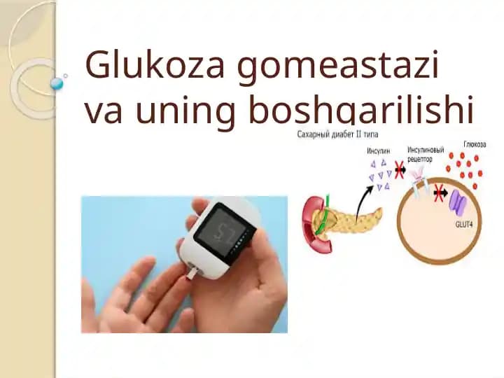 glukoza gemoestazi va uning boshqarilishi