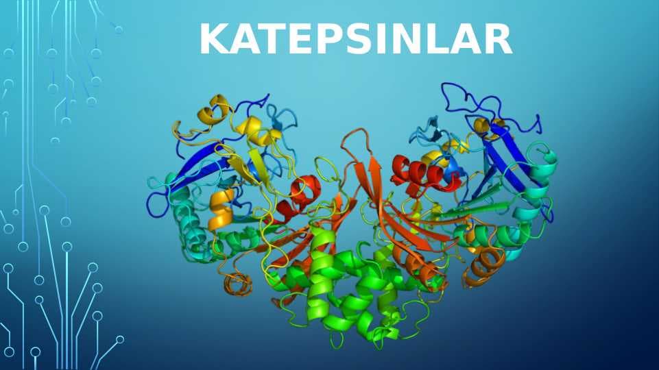 katepsinlar
