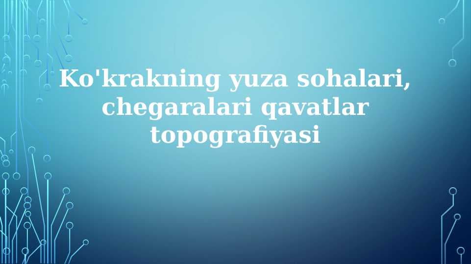 Ko'krakning yuza sohalari, chegaralari qavatlar topografiyasi