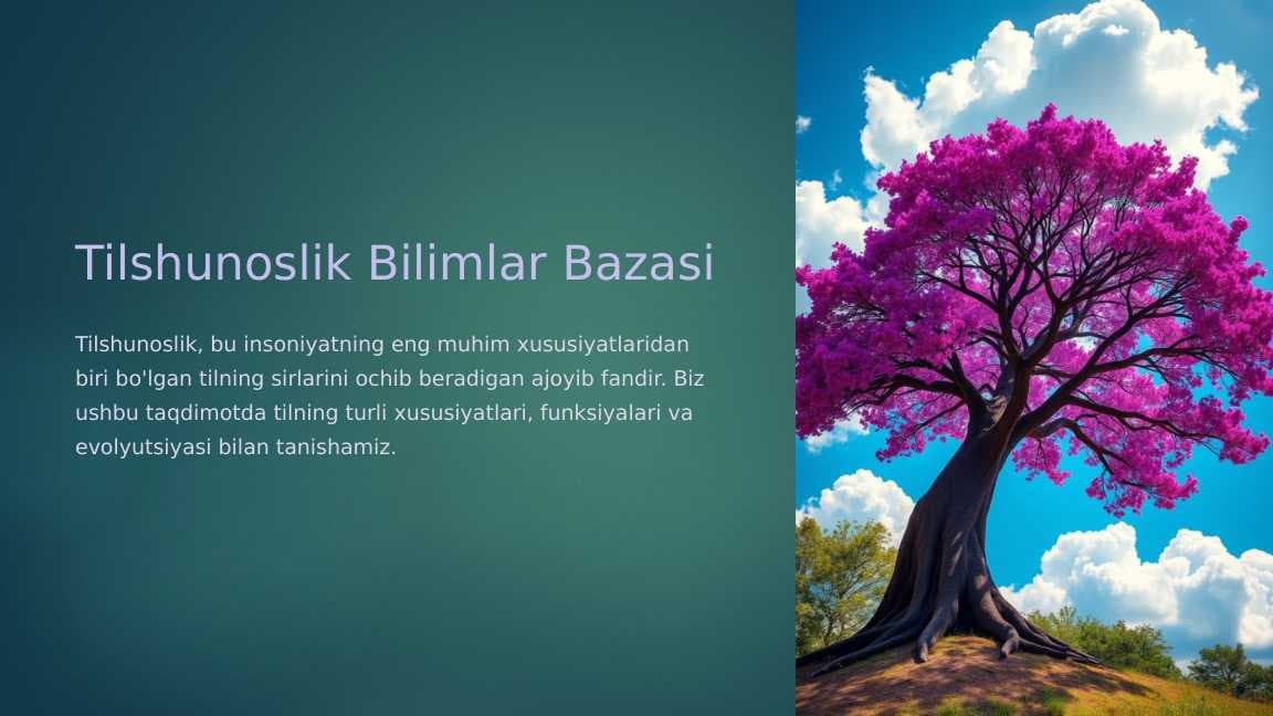 Tilshunoslik bilimlar bazasi
