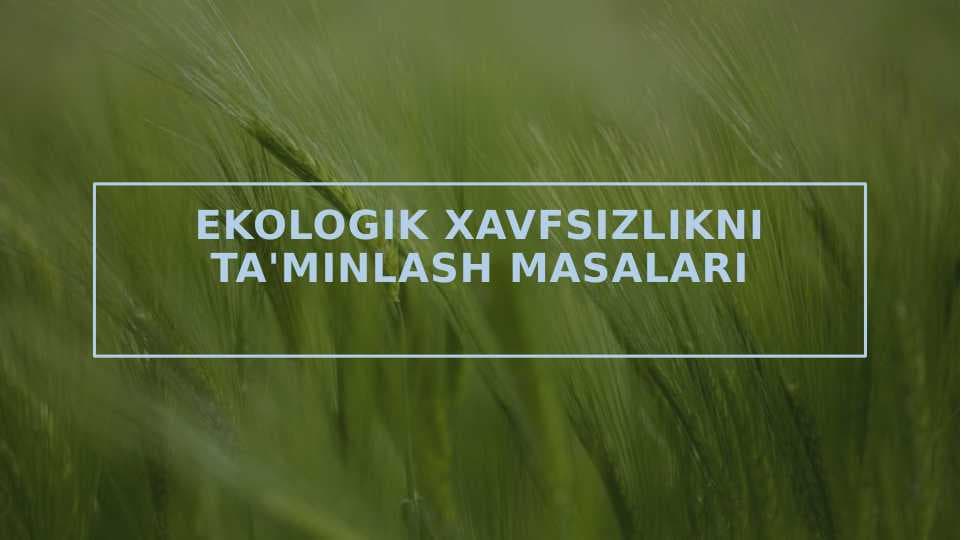Ekologik xavfsizlikni ta'minlash masalari
