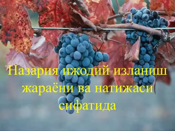 Nazariy ijodiy izlanish jarayoni va natijasi sifatida