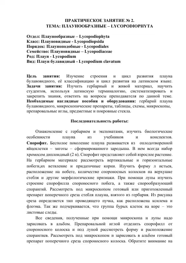 ПЛАУНООБРАЗНЫЕ – LYCOPODIOPHYTA