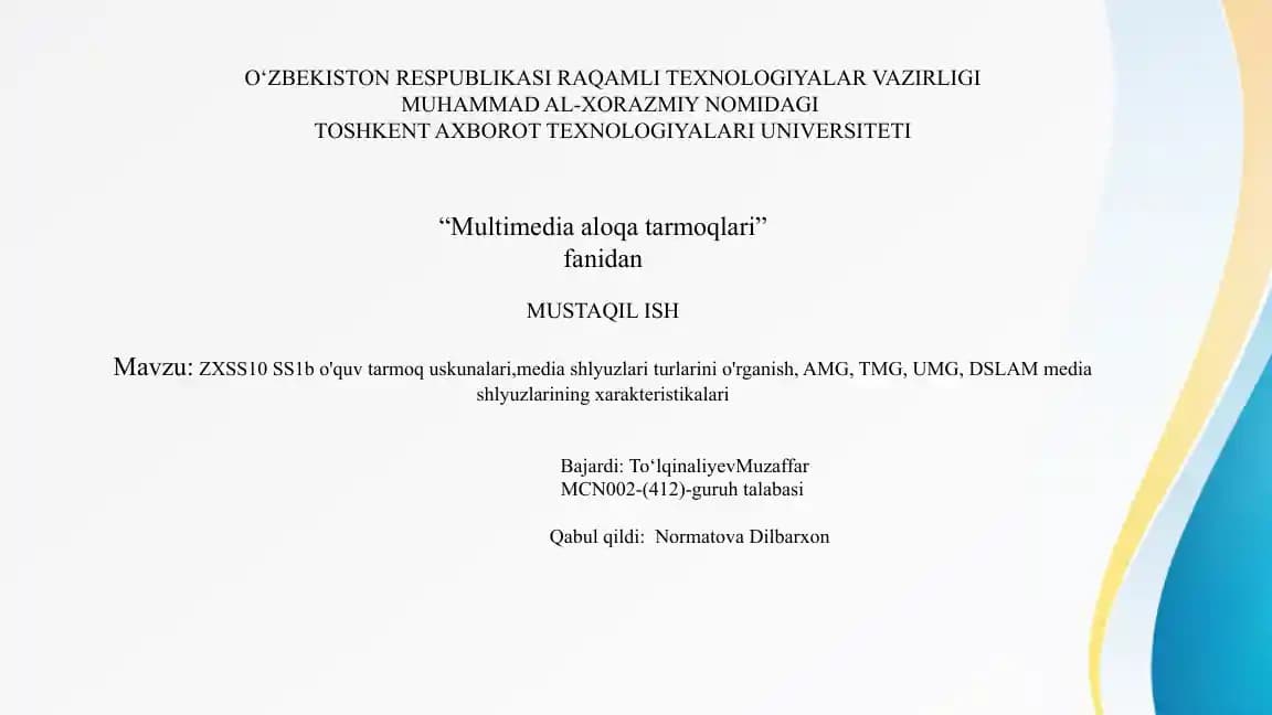 ZXSS10 SS1b O'quv Tarmoq Uskunalari va Media Shlyuzlari Turlari