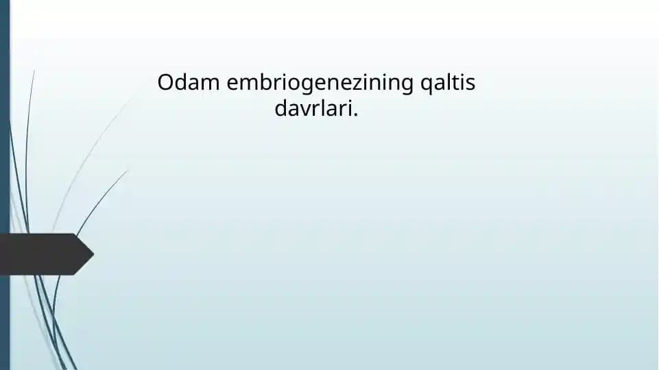 Odam embriogenezining qaltis davrlari