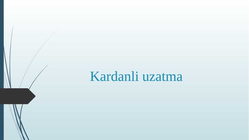 Kardanli uzatma
