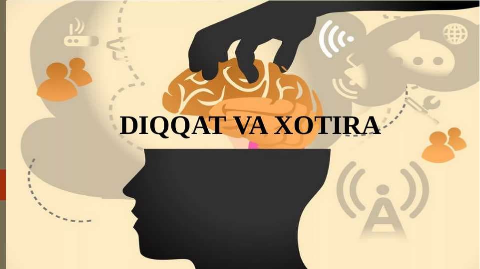 Diqqat va Xotira