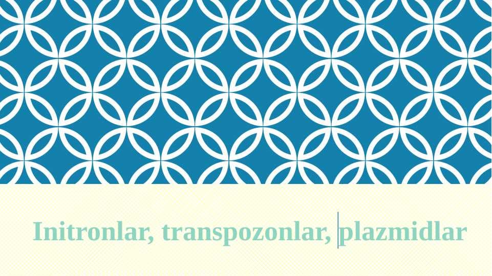 Initronlar, transpozonlar, plazmidlar