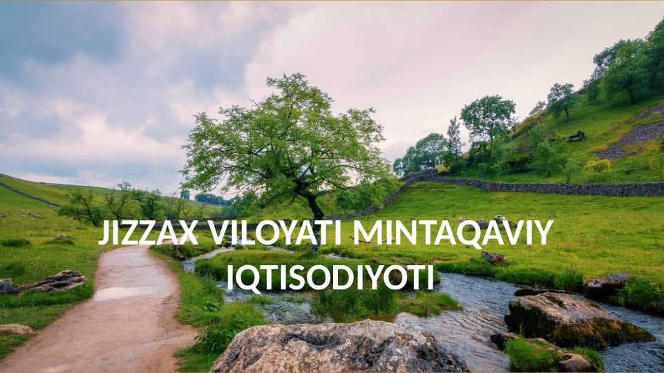Jizzax viloyati mintaqaviy iqtisodiyoti