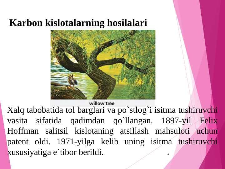 Karbon kislotalarning hosilalari