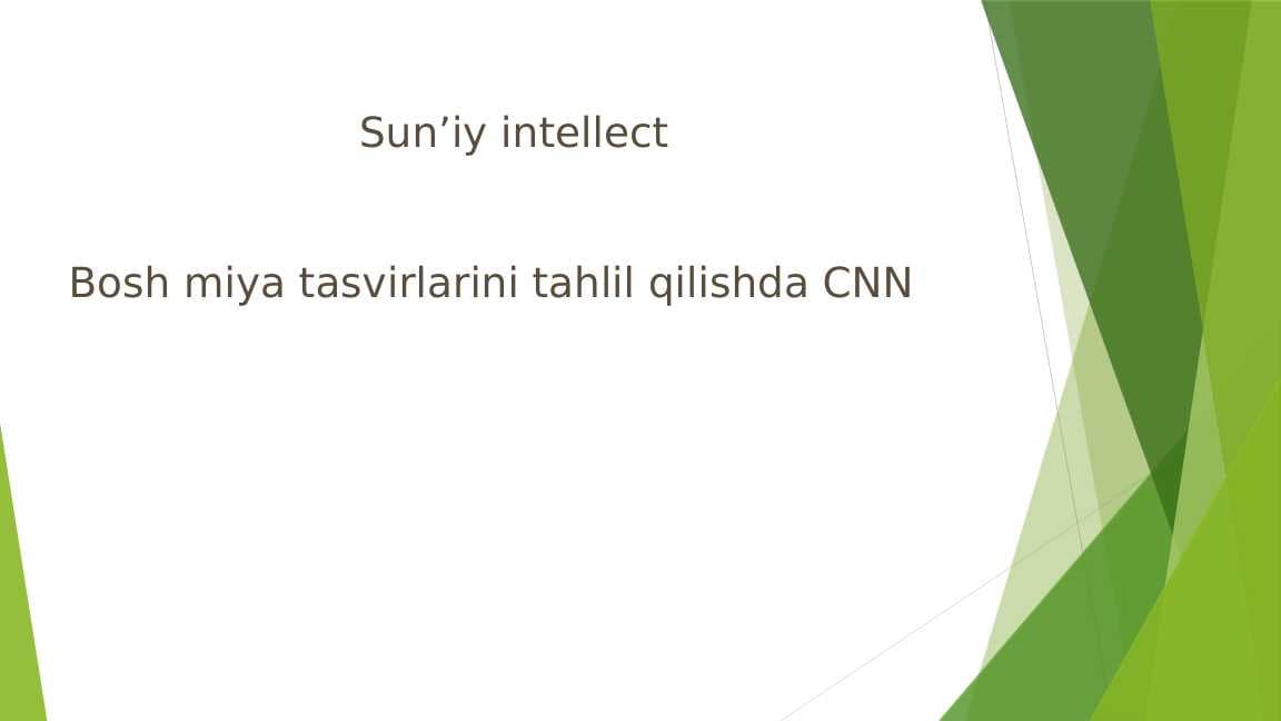 BOSH MIYA TASVIRLARINI TAHLIL QILISHDA CNN.