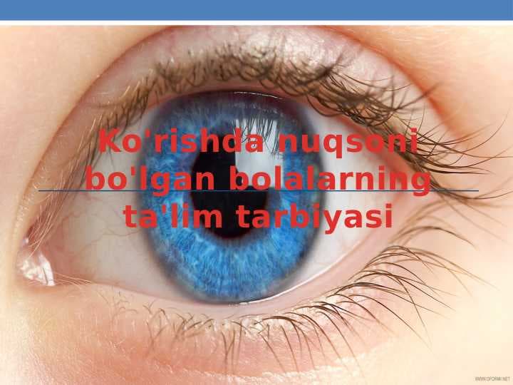 ko'rishda nuqsoni bo'lgan bolalarning ta'lim tarbiyasi