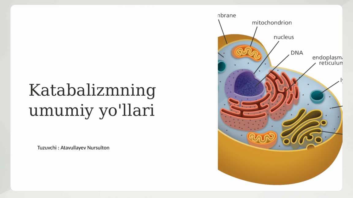 Katabalizmning umumiy yo'llari