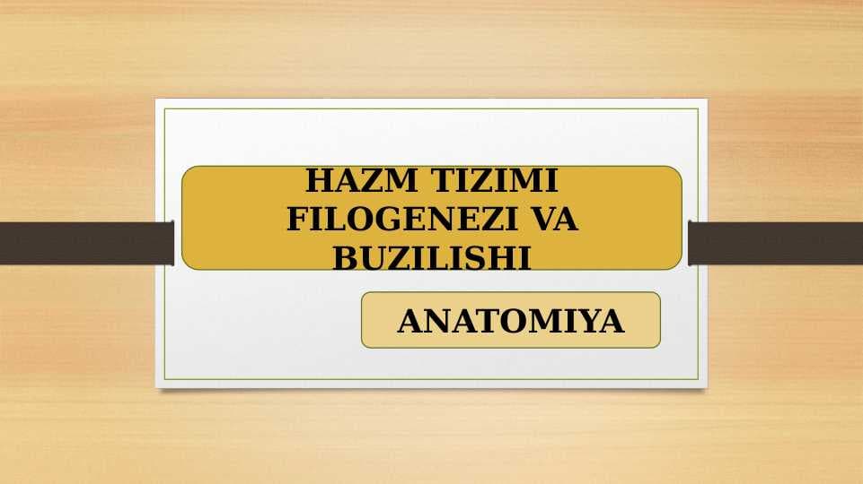 HAZM TIZIMI FILOGENEZI VA BUZILISHI