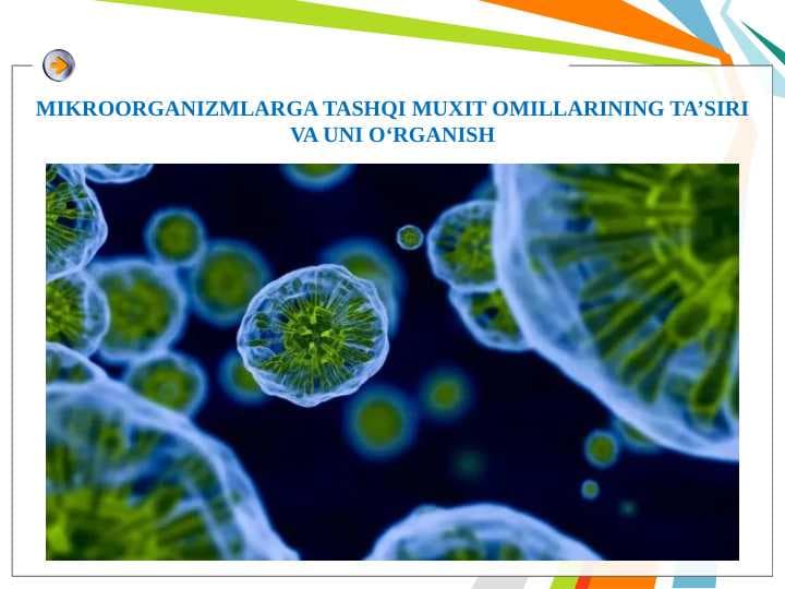 Mikroorganizmlarga tashqi muxit omillarining ta’siri va uni o‘rganish