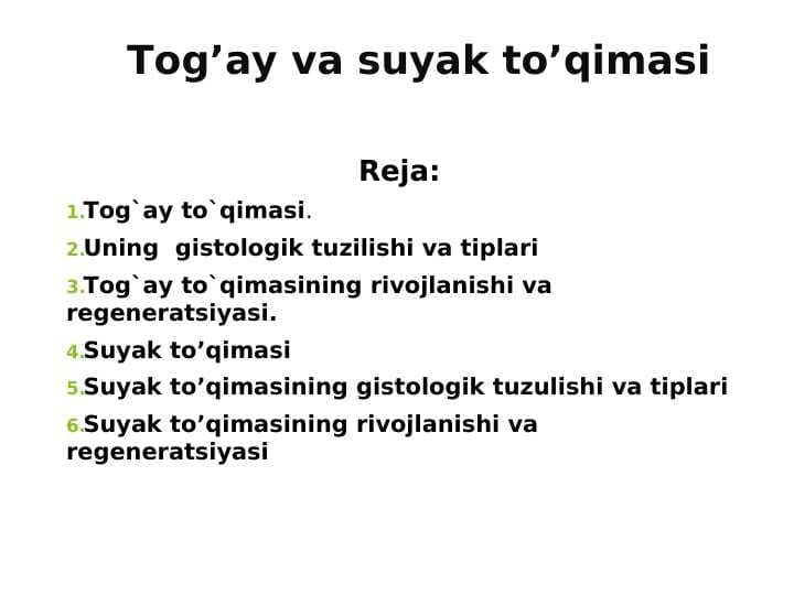 Tog’ay va suyak to’qimasi