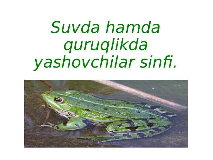 Suvda hamda quruqlikda yashovchilar sinfi