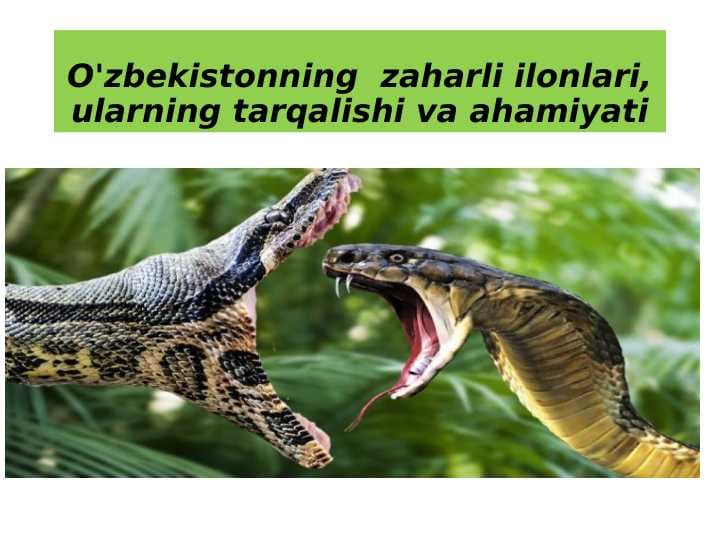 O'zbekistonning  zaharli ilonlari, ularning tarqalishi va ahamiyati