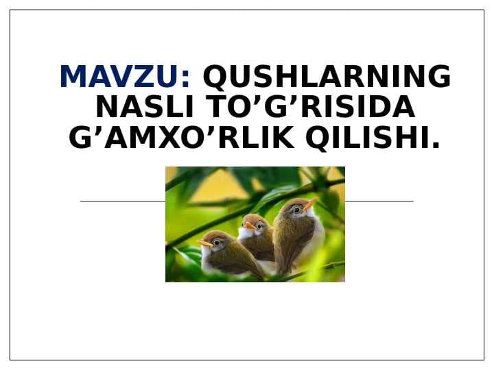 Qushlarning nasli to’g’risida g’amxo’rlik qilishi