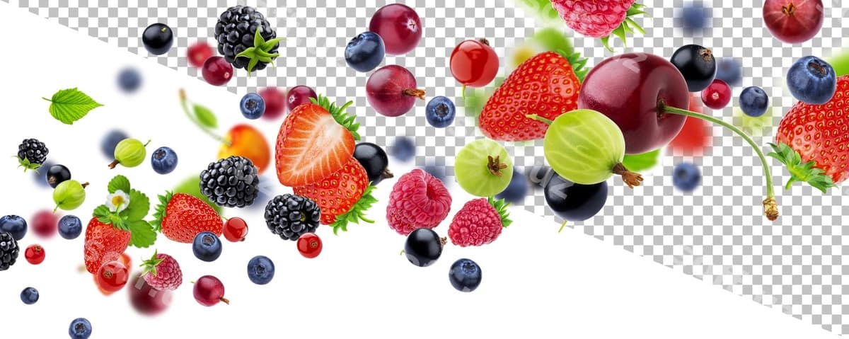 Taze O'rmon mevalari Ajralgan | Fresh forest berries isolated
