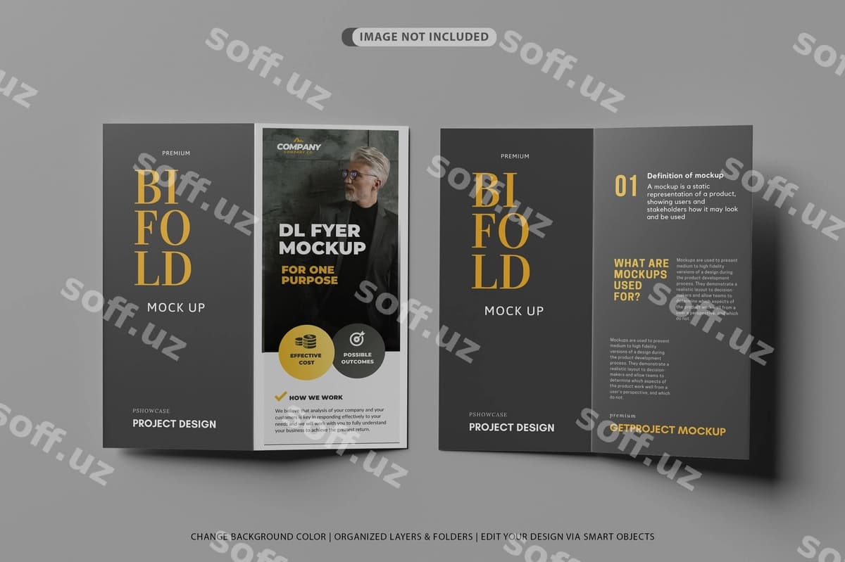 Old-orqa dl ikkalik realistik namuna | Front back dl bifold realistic mockup