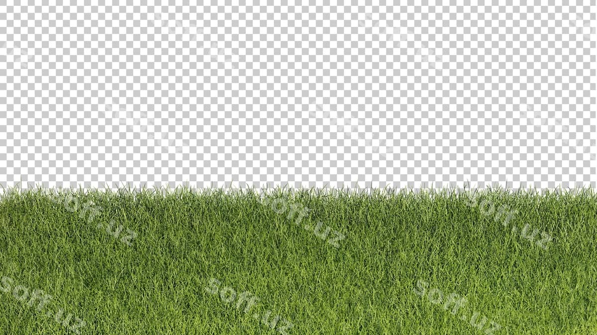 Chaman kesilgan 3d render illustratsiyasi | Grass cutout 3d rendering illustration