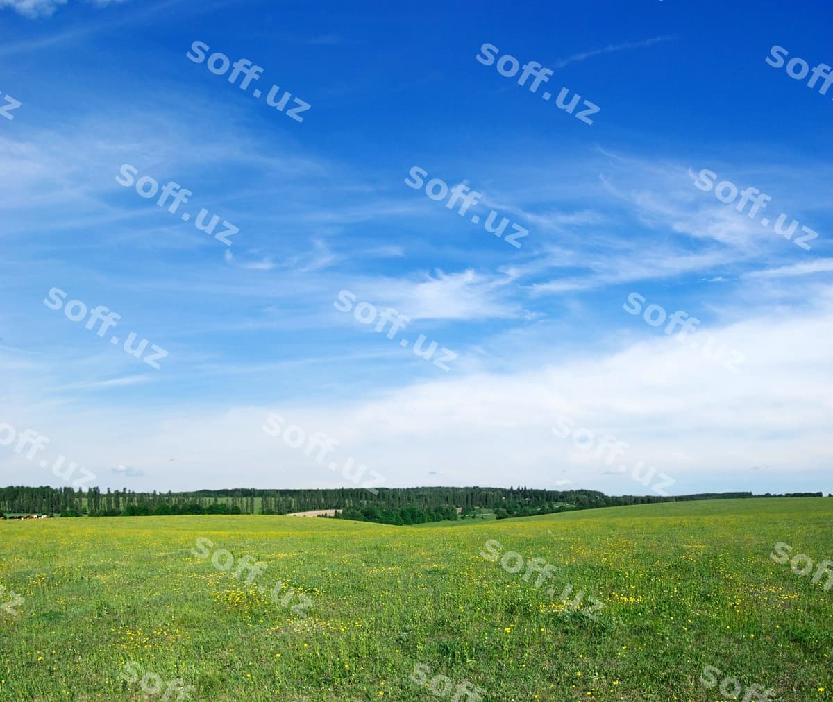 Yashil maydon ko'k osmon | Green field blue sky