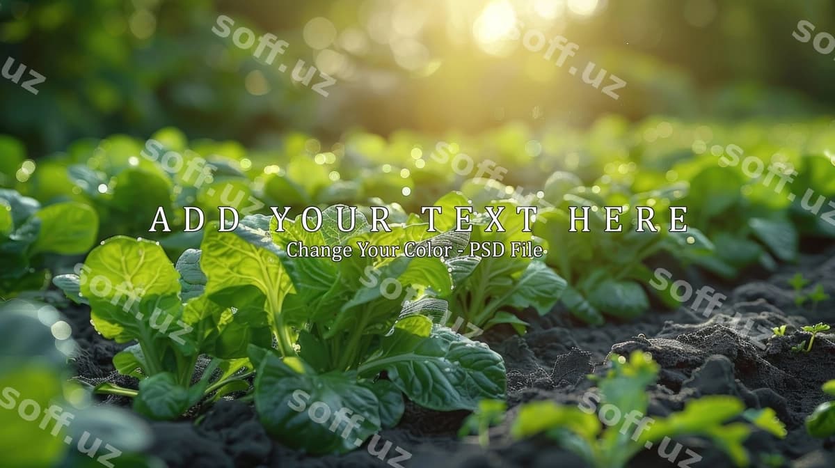 Yashil o'simliklar quyosh chiriyoti | Green plants sunlight