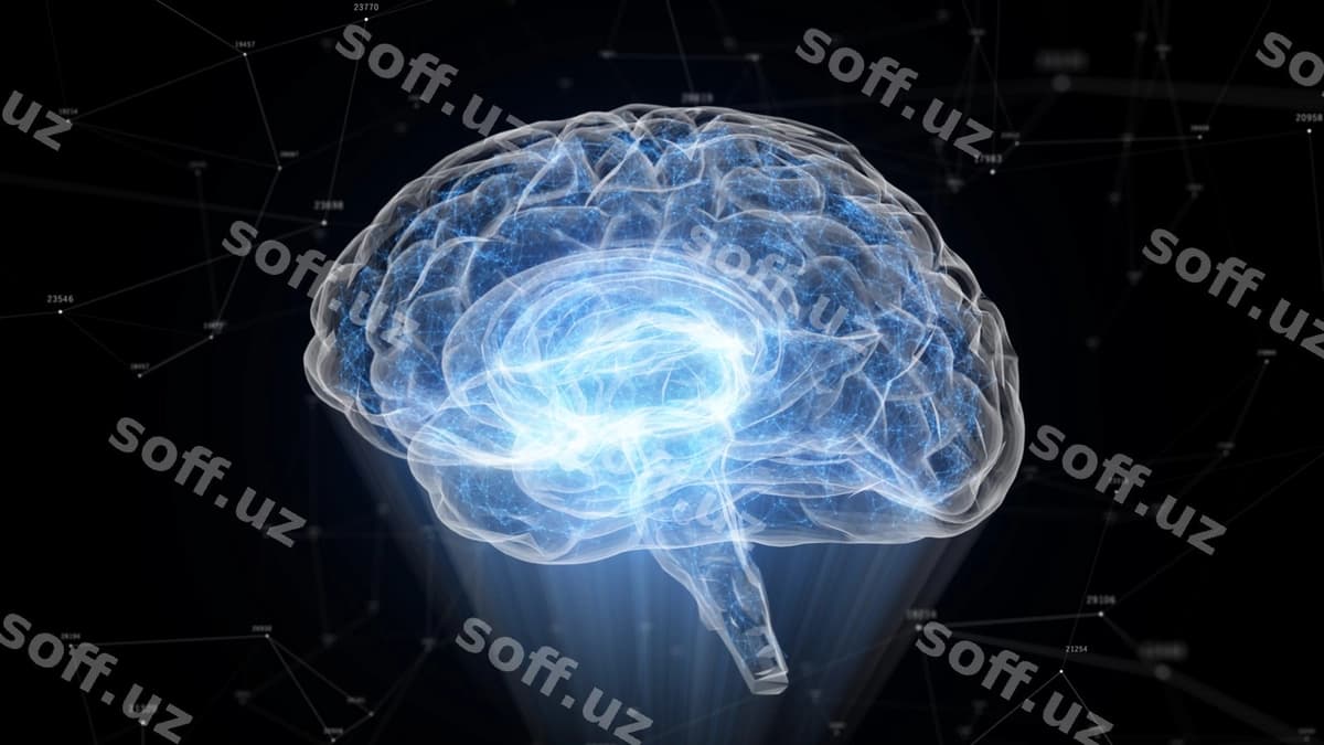 Inson boshi nurli zarralarni hosil qildi. | Human brain formed luminous particles