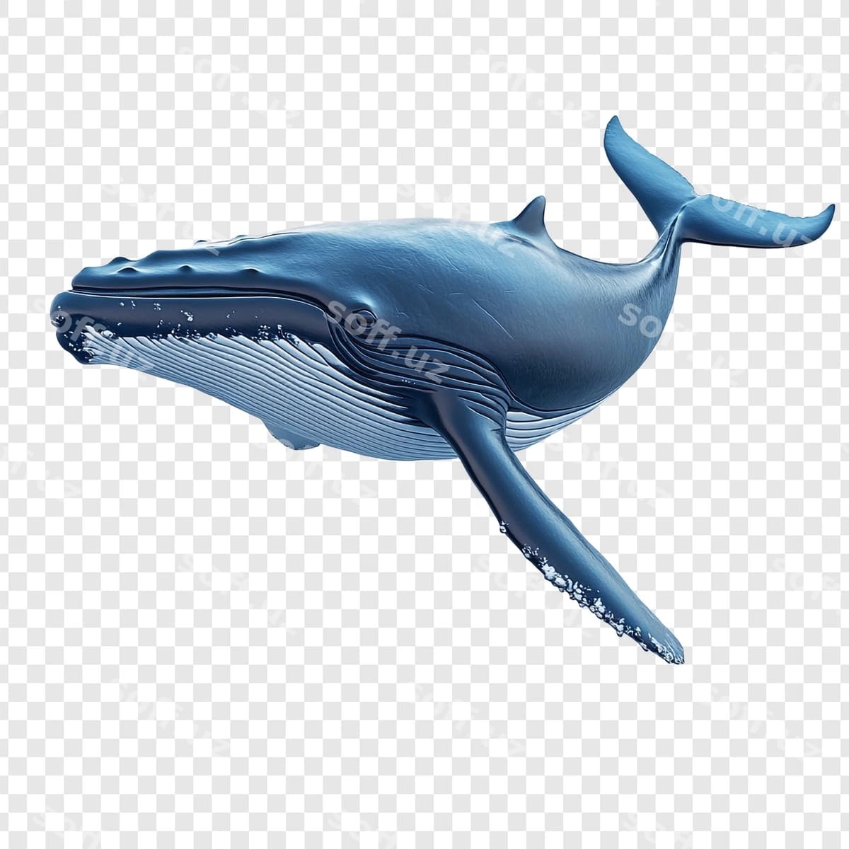 Boshqotirma balina quvir yaratilgan chuqur | Humpback whale majestic creature deep