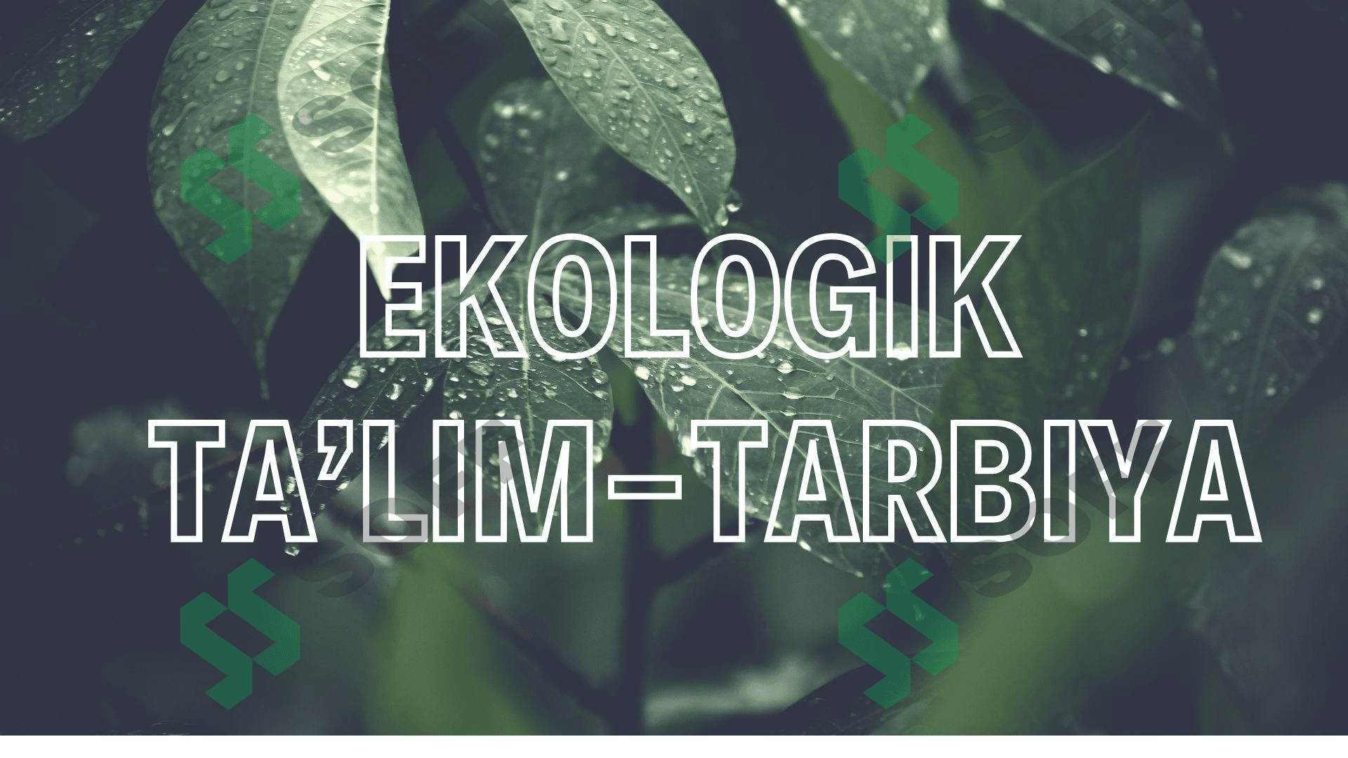 EKOLOGIK  TA’LIM-TARBIYA