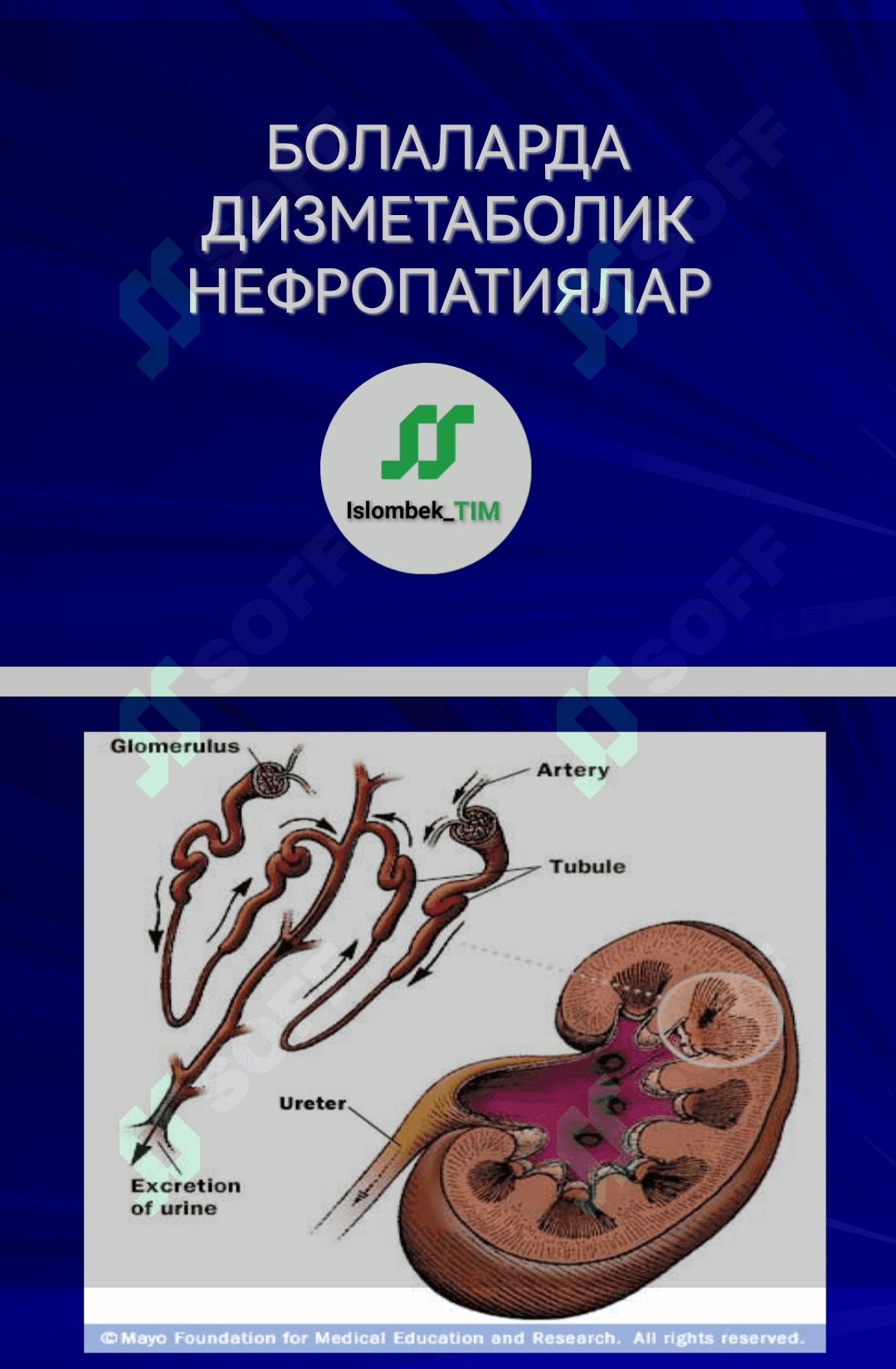 БОЛАЛАРДА ДИЗМЕТАБОЛИК НЕФРОПАТИЯЛАР