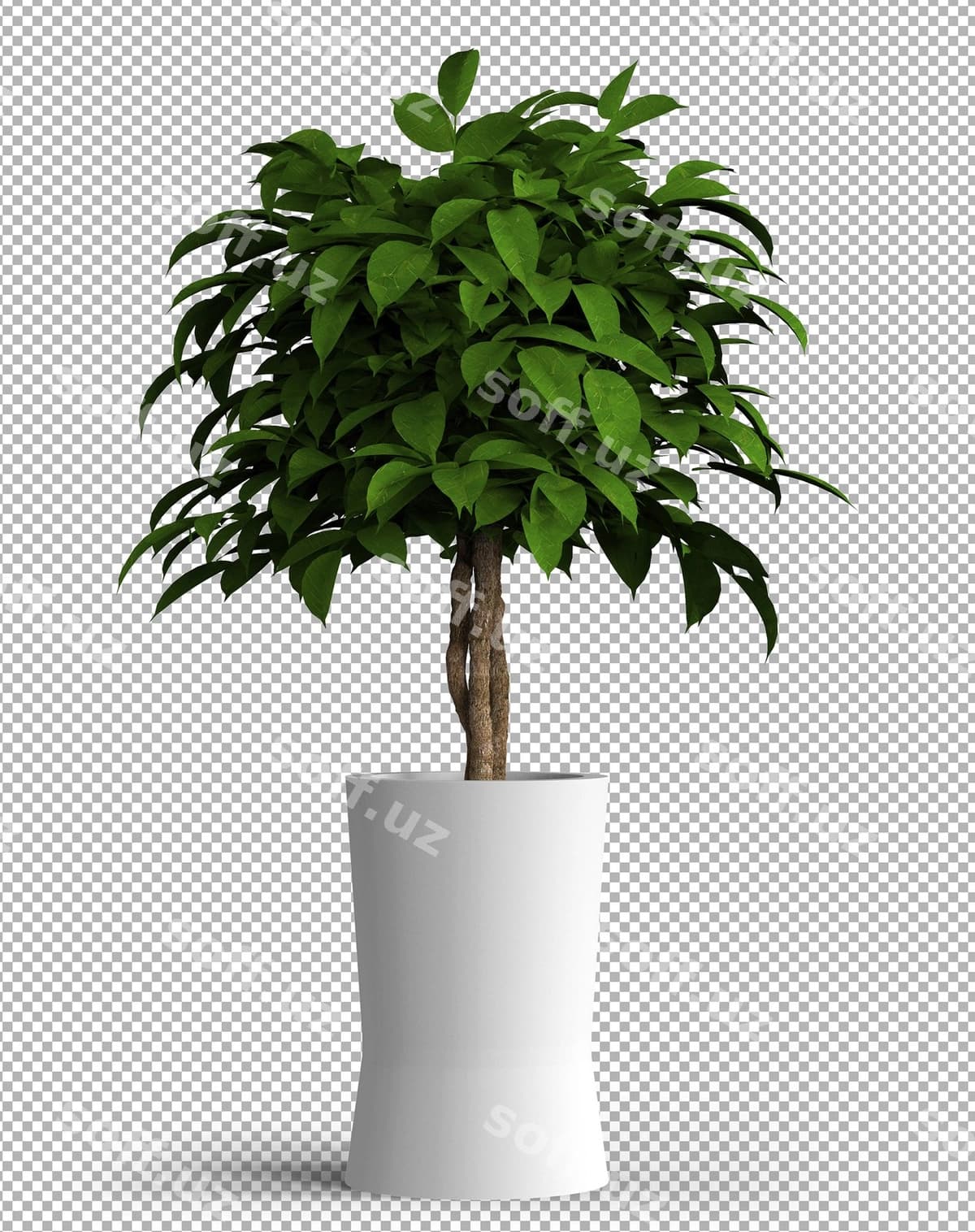 Ajraltirilgan o'simlik qozon | Isolated plant pot