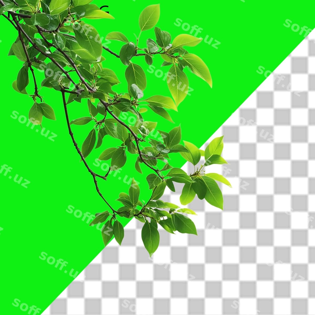 Tabiat psd png | Nature psd png