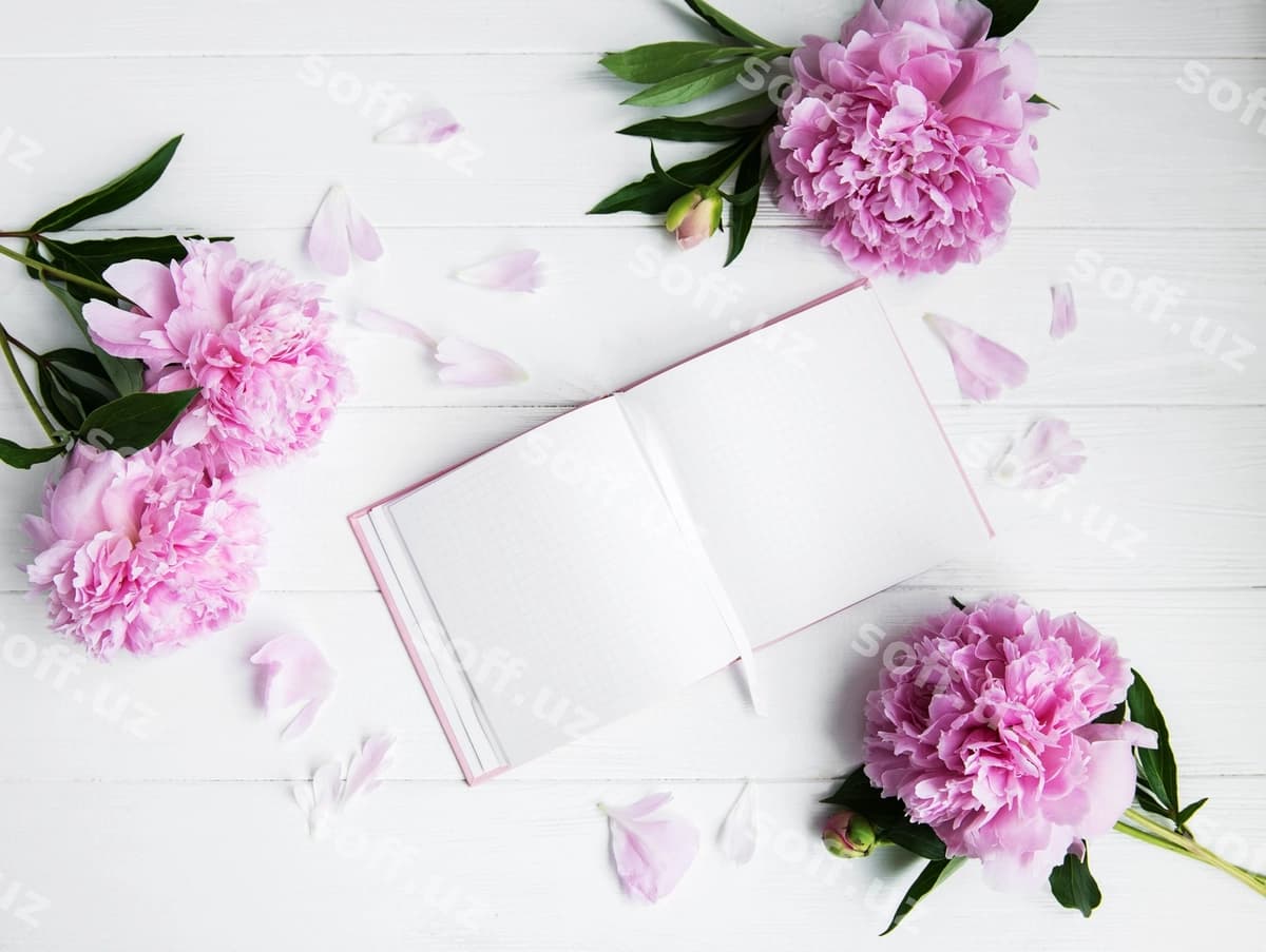 Daftar pionlar bilan | Note book with peonies
